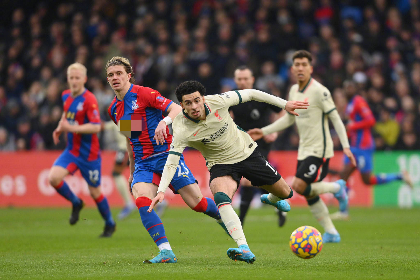 庭的重要性 庭的重要性