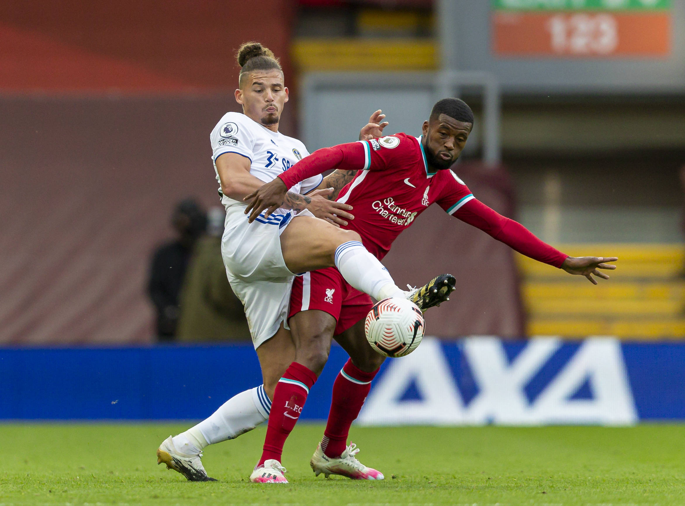 莱奥的高度 莱奥的高度